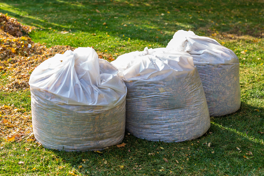 leaves in bags after a landscape cleanup in scottsdale