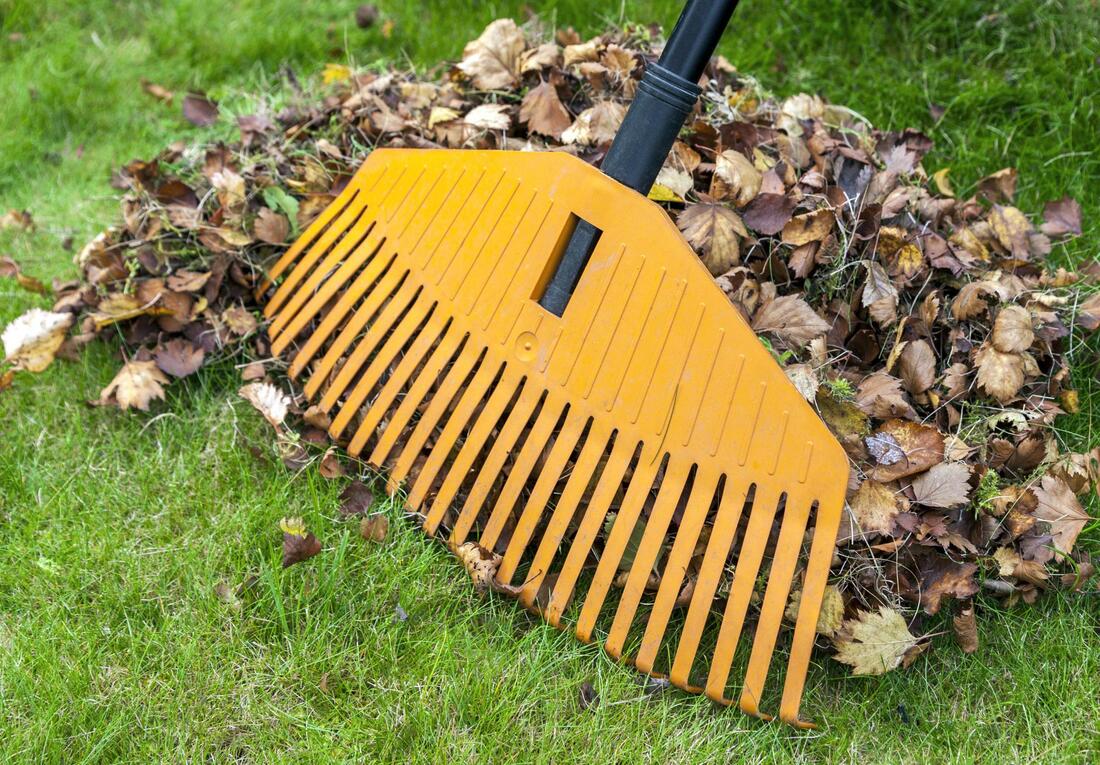 sweeping a dried leaves